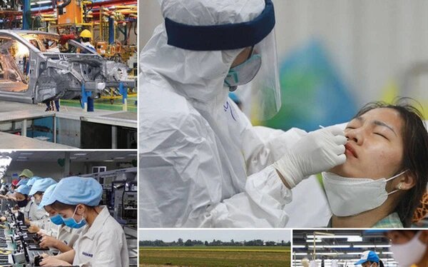 Vietnam's economic picture in the first 8 months of the year