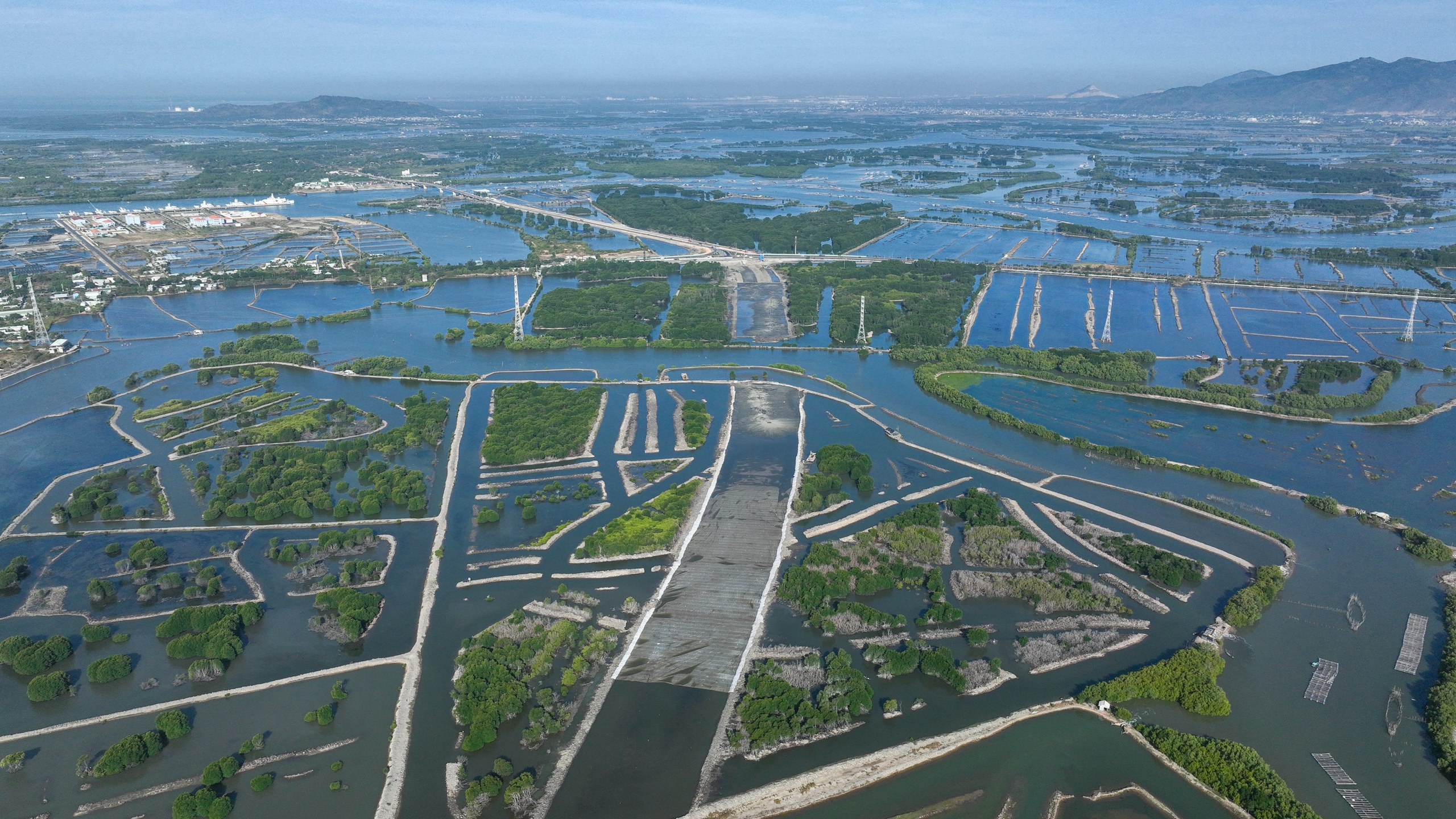 BY 2050, BA RIA - VUNG TAU AIMS TO BECOME THE NATIONAL MARITIME ECONOMIC CENTER